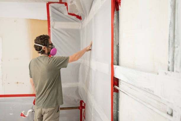 Best Crawl Space Mold Remediation  in Pinetop Country Clu, AZ
