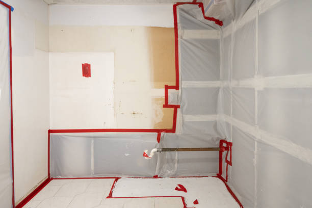 Mold Remediation for Vacation Homes in Pinetop Country Clu, AZ