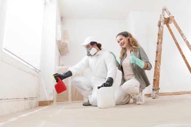 Best Indoor Air Quality Assessment  in Pinetop Country Clu, AZ